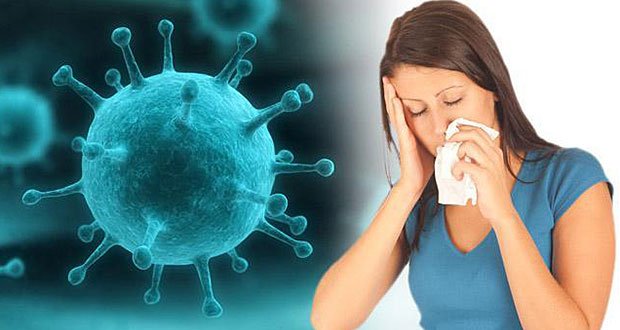 Gripe H1N1 causas síntomas tratamiento y prevención de la gripe porcina