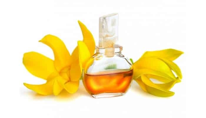 Beneficios para la salud del aceite esencial de Ylang-Ylang que debes saber