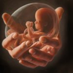 ¿Cuándo disminuyen las probabilidades de aborto involuntario?