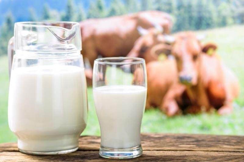 Cuántas calorías en diferentes tipos de leche