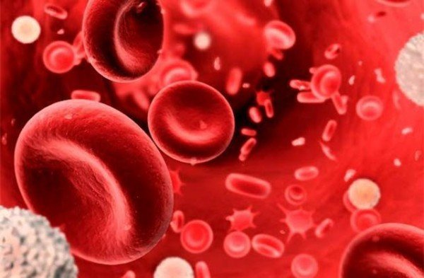 Niveles de globulina Prueba de sangre