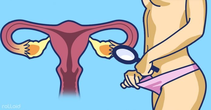 Por qué una vagina huele a caca