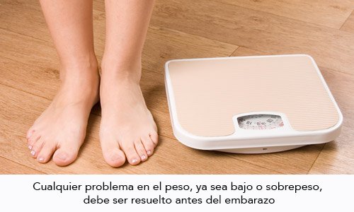 adelgazar dieta planificador nacimiento