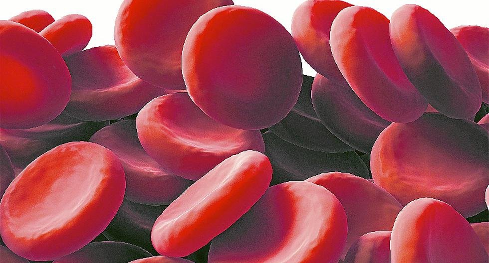 Conozca todo sobre la hemofilia: la enfermedad real