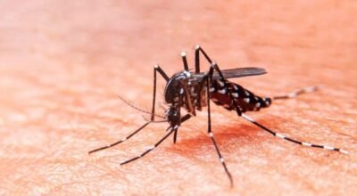 7-formas-sencillas-de-protegerse-chikungunya