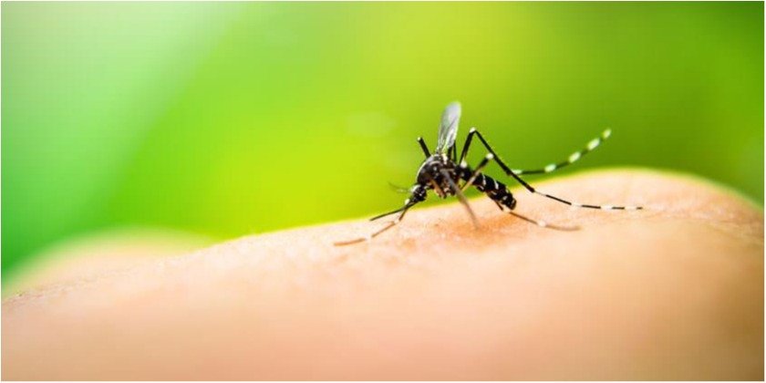 el-dengue-causa-sintomas-tratamiento-y-prevencion