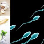 los-remedios-caseros-aumentan-el-recuento-de-espermatozoides