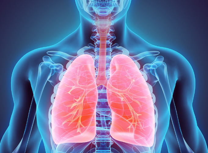 todo-sobre-la-contaminacion-la-salud-pulmonar